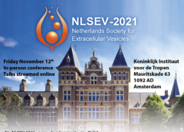 evFOUNDRY researcher at NLSEV-2021
